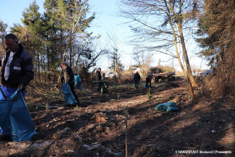 Hier wachsen schon die ersten Bäumchen Hier wachsen schon die ersten Bäumchen