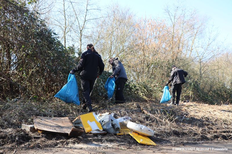 Müll aus der Hecke Müll aus der Hecke