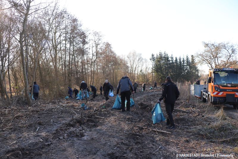Pflanzvorbereitung der besonderen Art Pflanzvorbereitung der besonderen Art